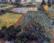 文森特 威廉 梵高 : 罂粟的田野